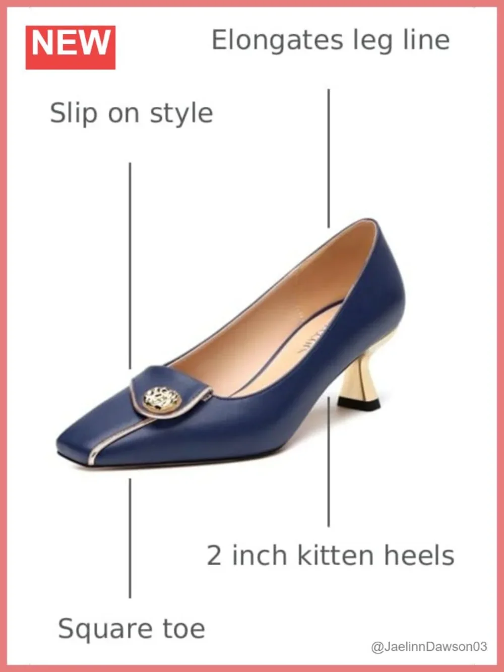 N/A chic kitten